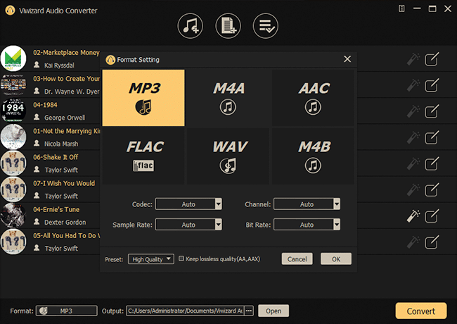ViWizard Audio Converter License Key