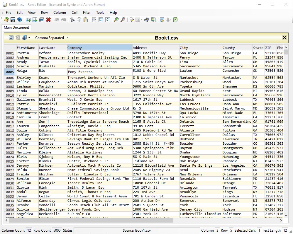 Rons Data Edit Pro Serial Key